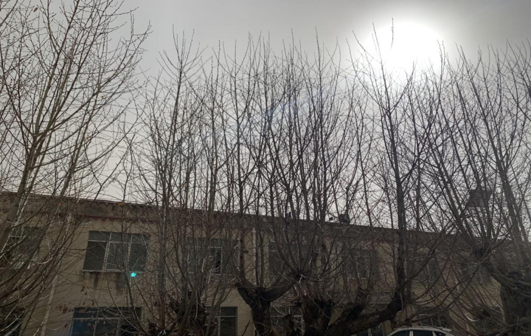 https://mmbiz.qpic.cn/mmbiz_png/qR9NEZvlNBlIIwjZEBSD9zSNzibWXpWXHltLzMxT0eRWSVTVmwgXVShnEnBGxb2eFMiap0Fd0F7OFU41ibQfoEGcA/640?wx_fmt=png&tp=webp&wxfrom=5&wx_lazy=1&wx_co=1